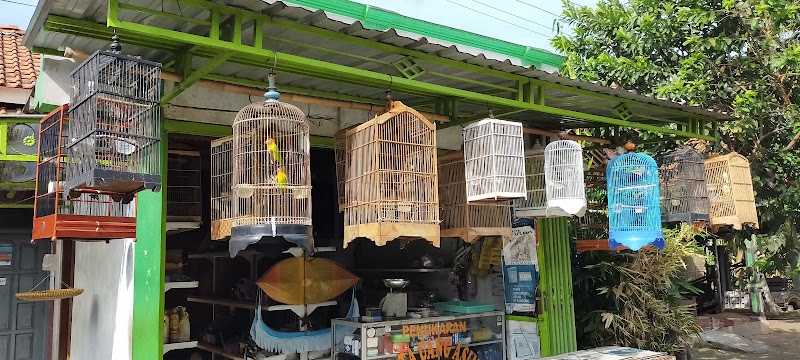 Pilihan Terbaik untuk Burung Kesayangan di Cilacap